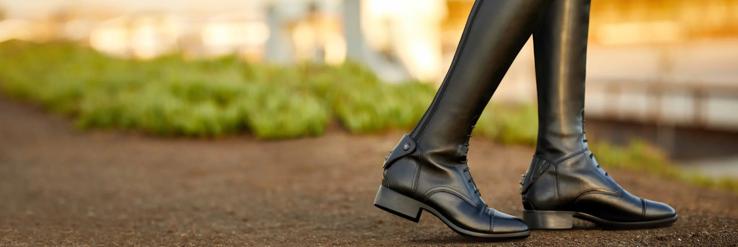 MOUNTAIN HORSE -MOUNTAIN HORSE Ariat Palisade scaled