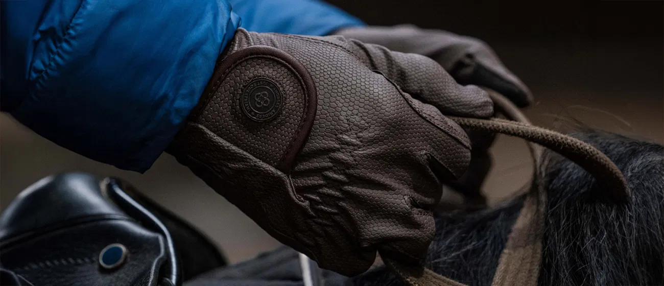 MOUNTAIN HORSE -MOUNTAIN HORSE